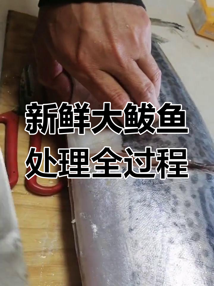 大厨现场处理20斤大鲅鱼,新鲜美味尽显