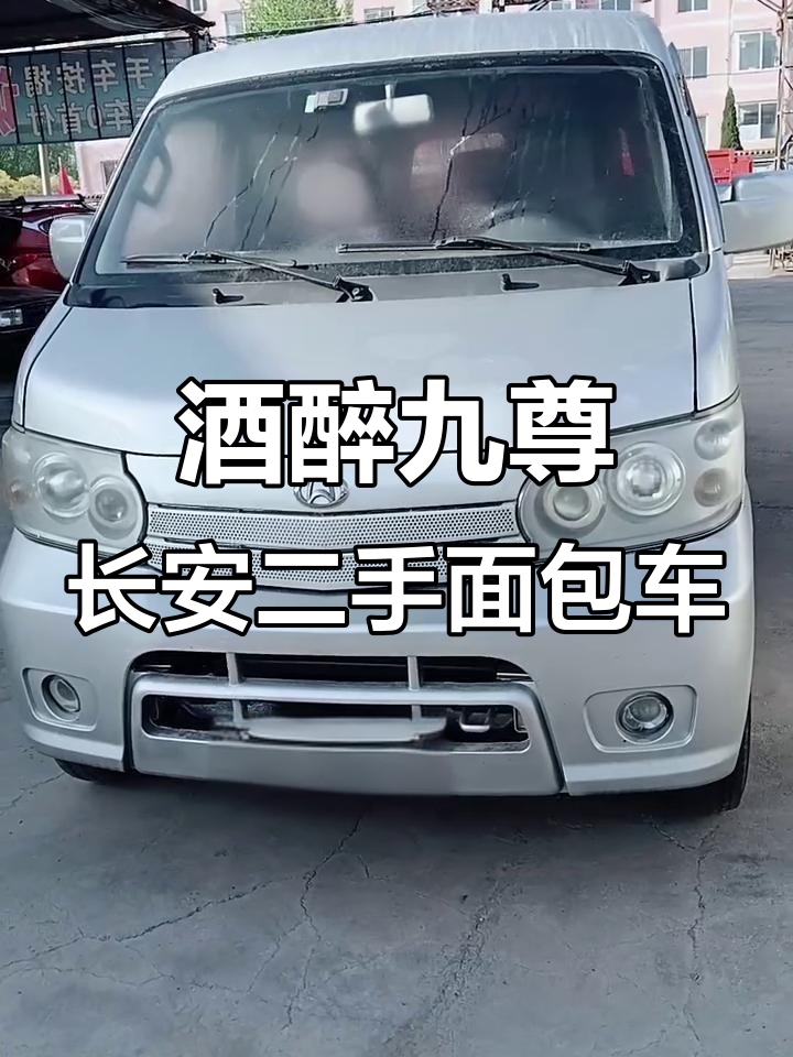 二手九座面包车,三菱发动机助力拉人更轻松