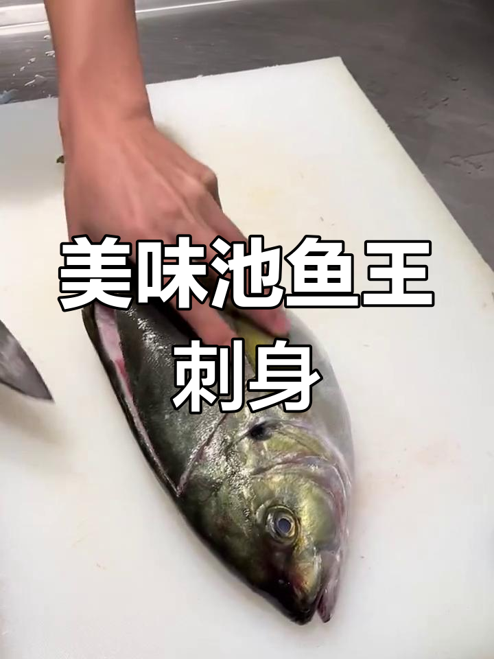 池鱼王刺身,口感鲜美无比