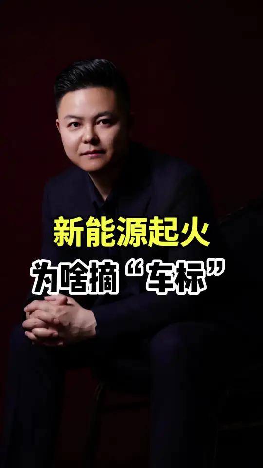 新能源汽车起火为啥摘车标 这年头,灭火靠消防,摘标靠厂家?火还没扑灭,标已经不见了。你以为