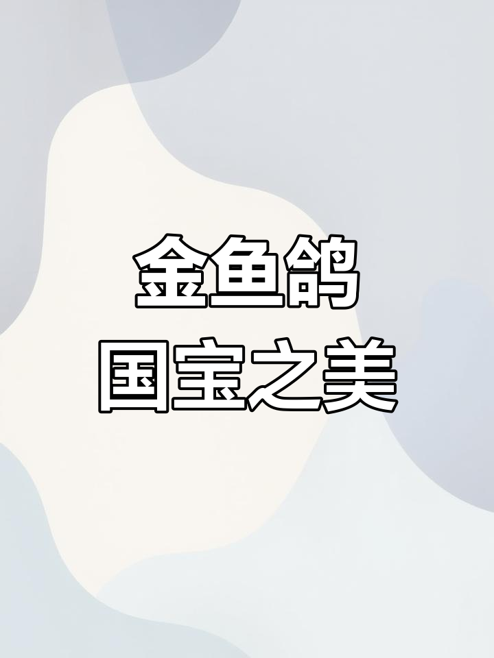 金鱼鸽,独特眼睛与优雅飞翔的国宝级观赏鸟