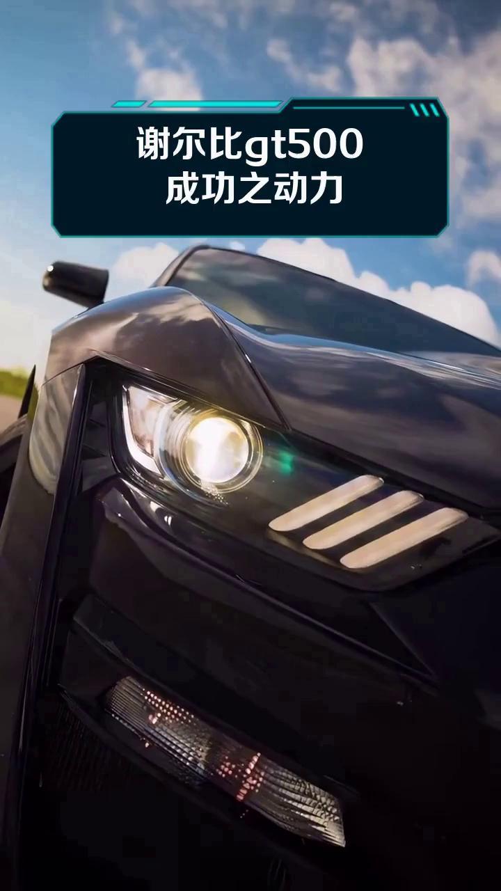 谢尔比gt500 成功之动力