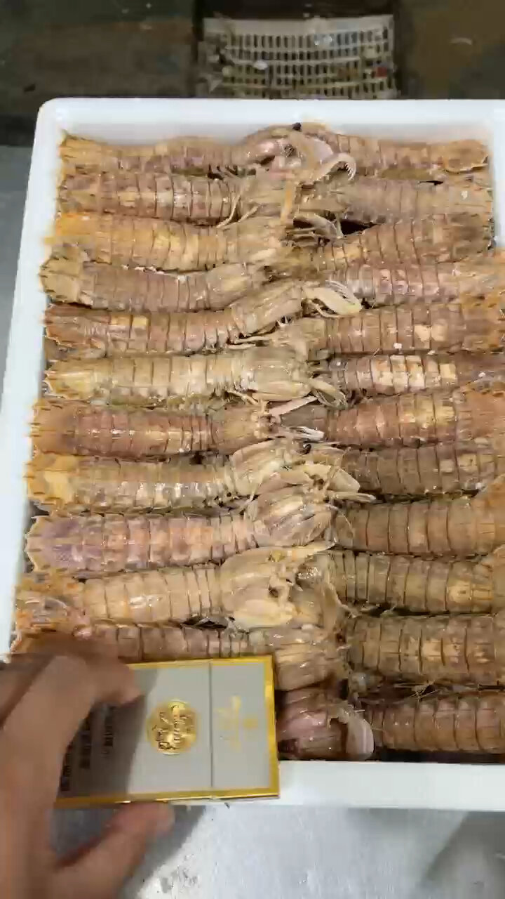 熟冻皮皮虾 爆炒 椒盐 夜宵必备