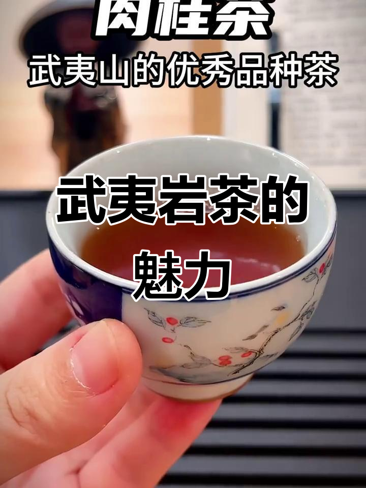 武夷山牛栏坑肉桂茶：从采摘到泡制的完美体验