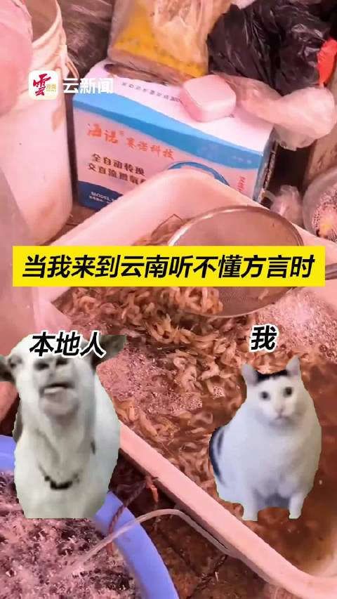 这就很云南「云南方言10级听力考试」近日,云南弥勒。一外省男子到云南菜市场买虾,结果被菜名