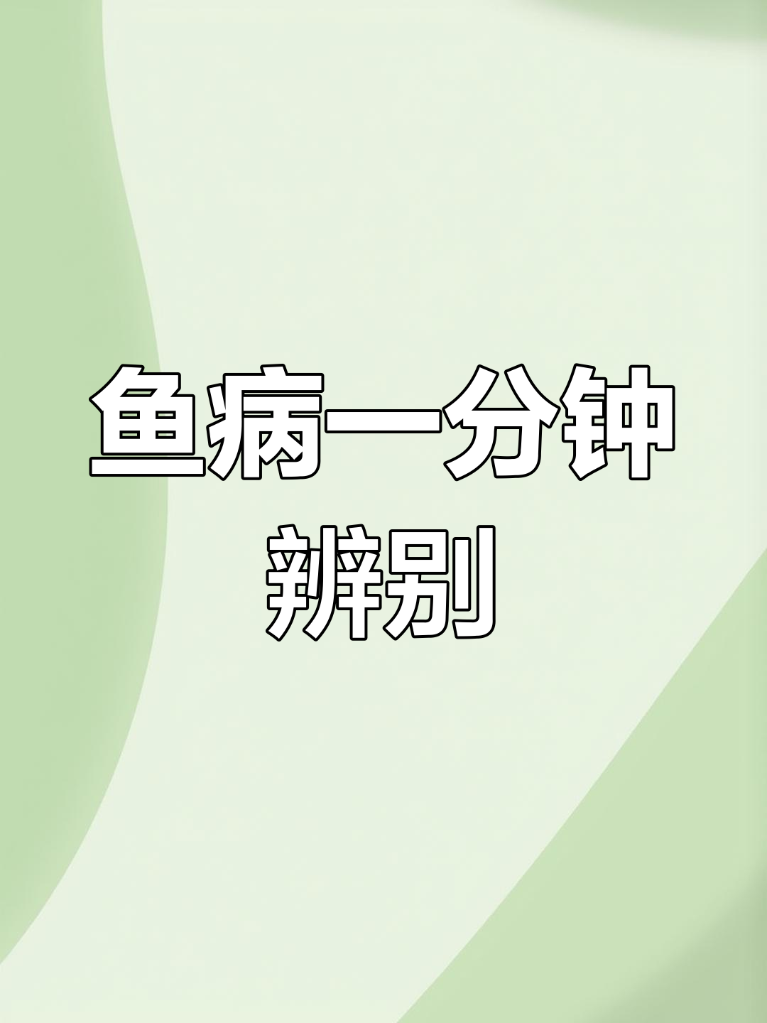 一分钟学会分辨白点、水霉和打粉病,兰寿金鱼常见病症解析