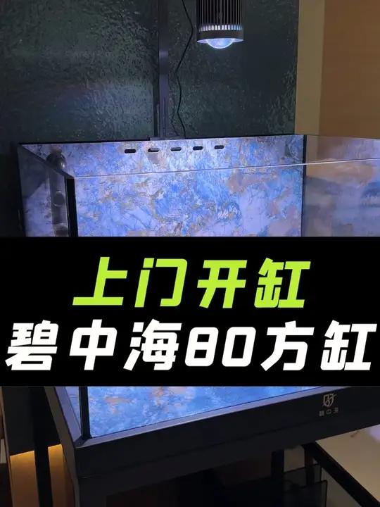 上门开鱼缸，碧中海80底滤方缸，全程记录，都是干货，养泰狮