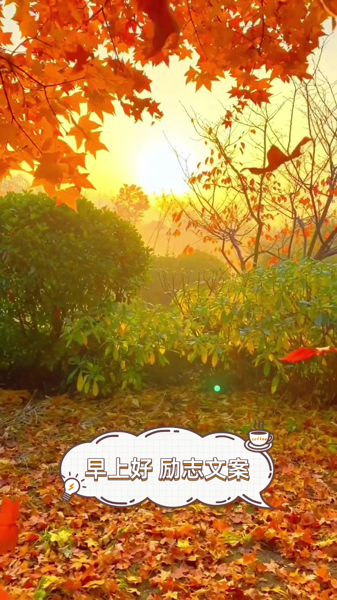 早上好励志文案