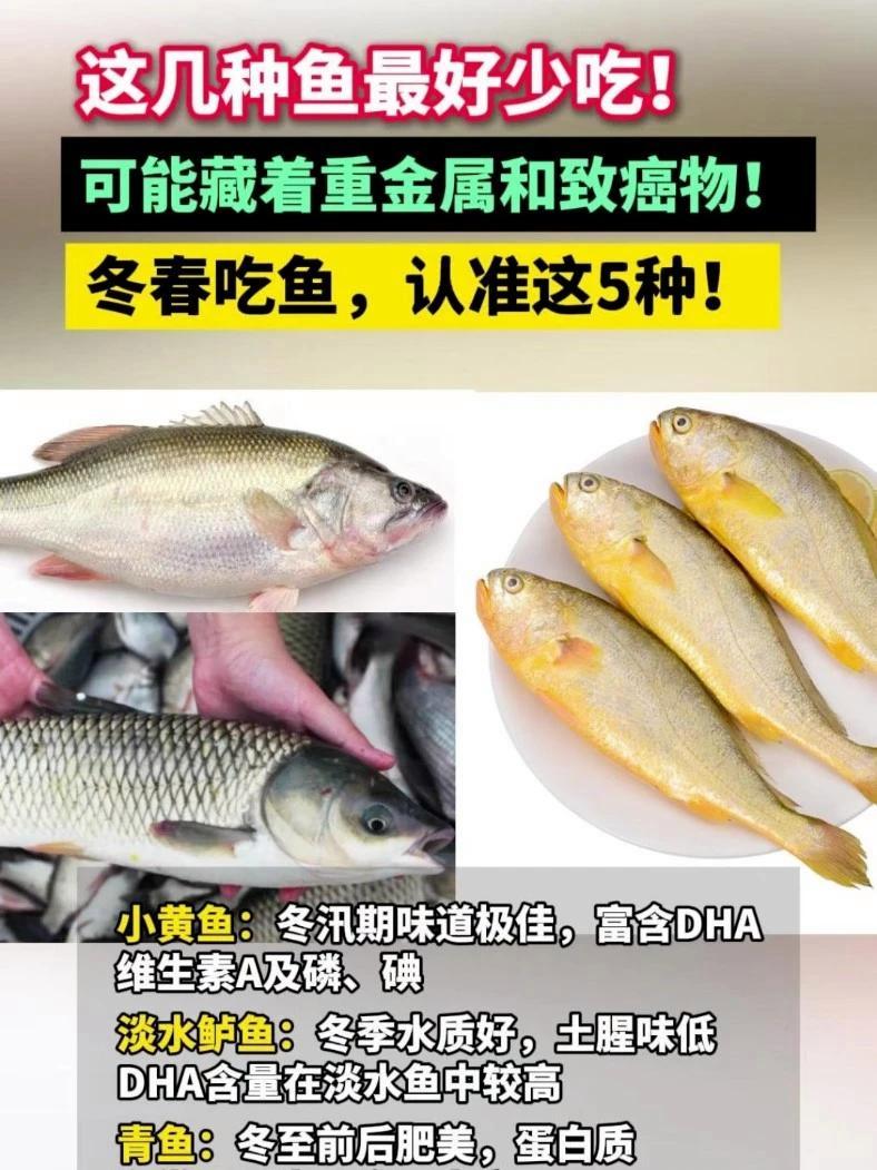 人民日报：这几种鱼最好少吃！可能藏着重金属和致癌物！冬春吃鱼，认准这5种！#鲈鱼 #小黄鱼