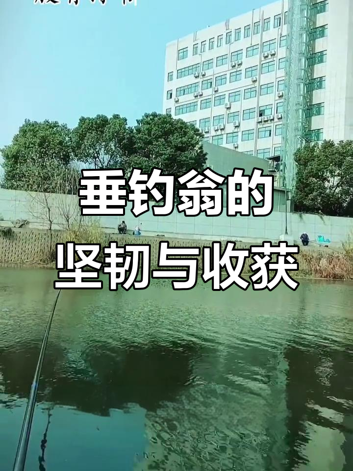 寒风浪高,钓鱼翁坚持出征,终获丰收