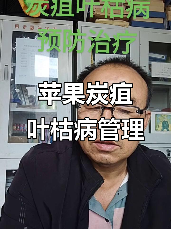 苹果炭疽叶枯病防治全攻略,三农服务助力农业健康
