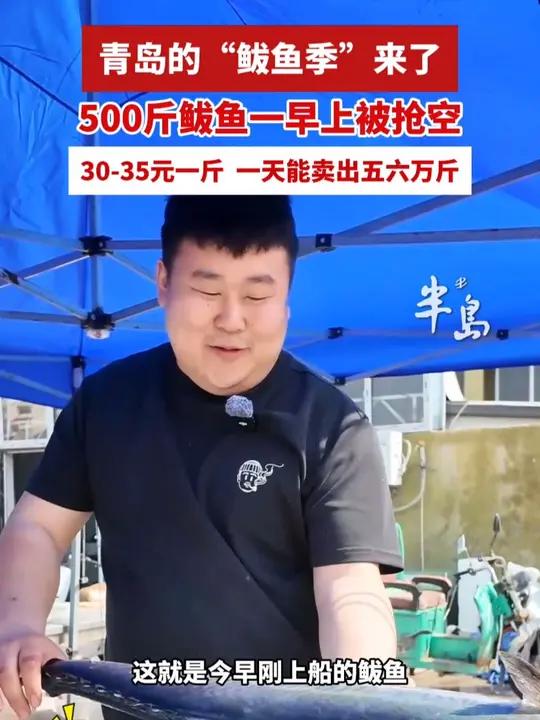 沙子口鲅鱼上市,商户500斤鱼一早被抢空,30-35元每斤,一天能卖出五六万斤(半岛全媒体