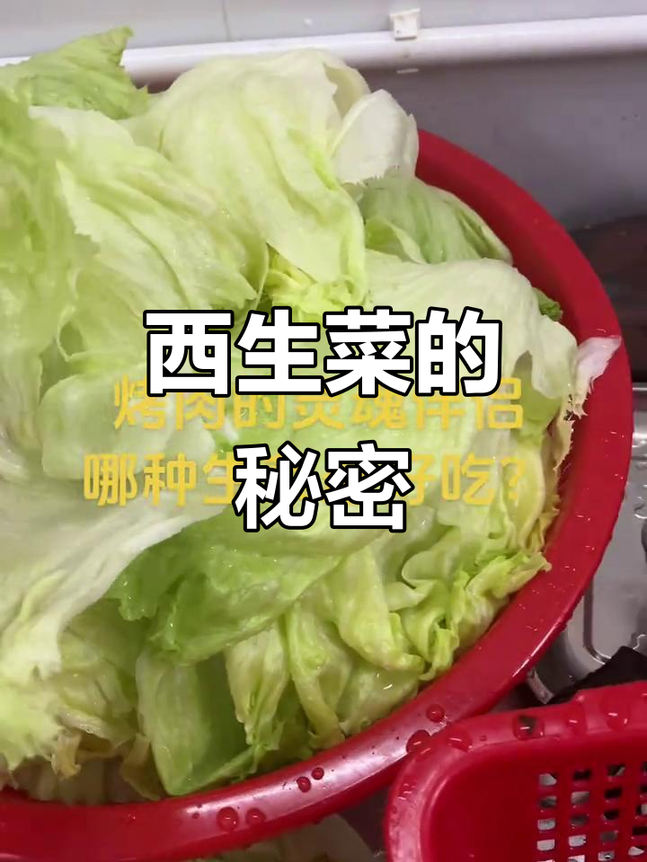 家里生菜口感绝佳,秘诀在于选用西生菜,脆甜十足!
