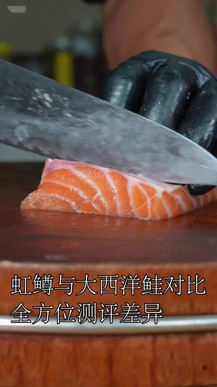 虹鳟与大西洋鲑对比全方位测评差异
