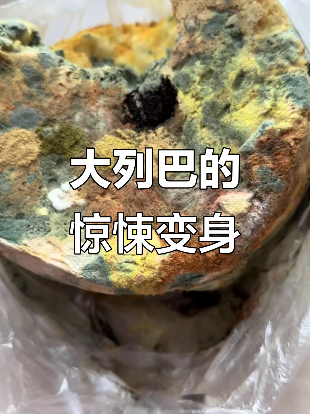 哈尔滨大列巴面包变“生化武器”,细菌丰富到让人崩溃