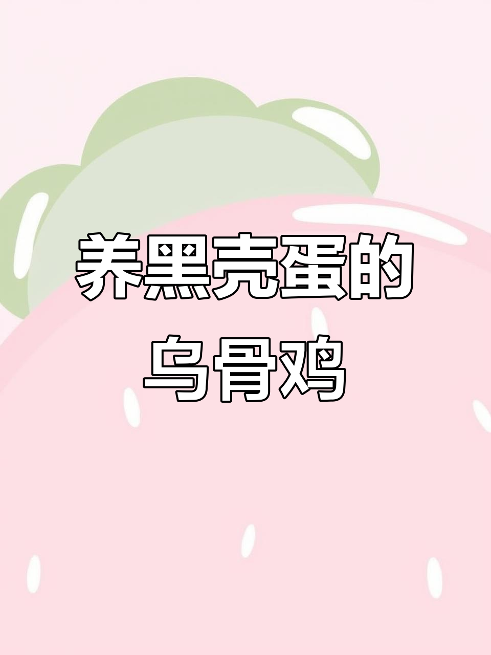 乌骨鸡养殖小妙招:剩饭菜变蛋,两公配八亩十只