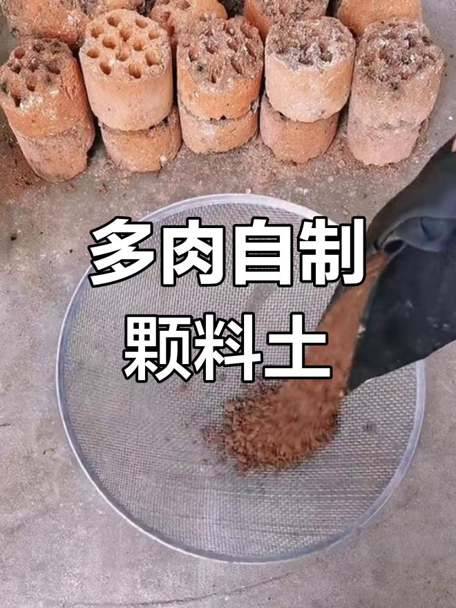 自制多肉颗粒土,轻松打造营养花卉环境