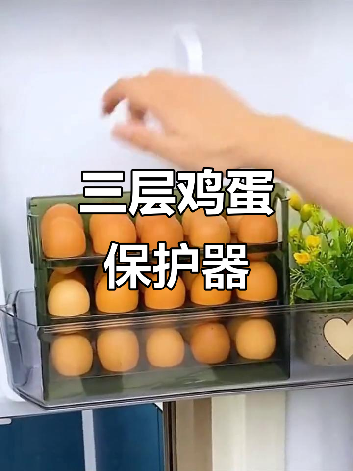鸡蛋架三层设计,上层回弹,下层分隔保护避免碰撞