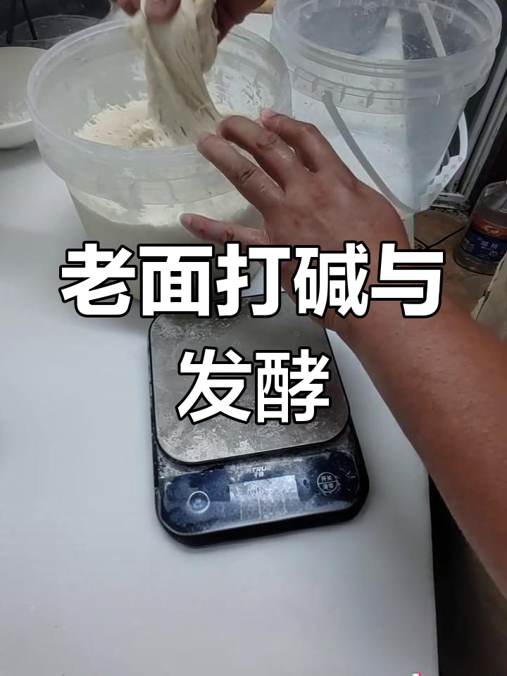 老面小笼包量化制作工艺全流程