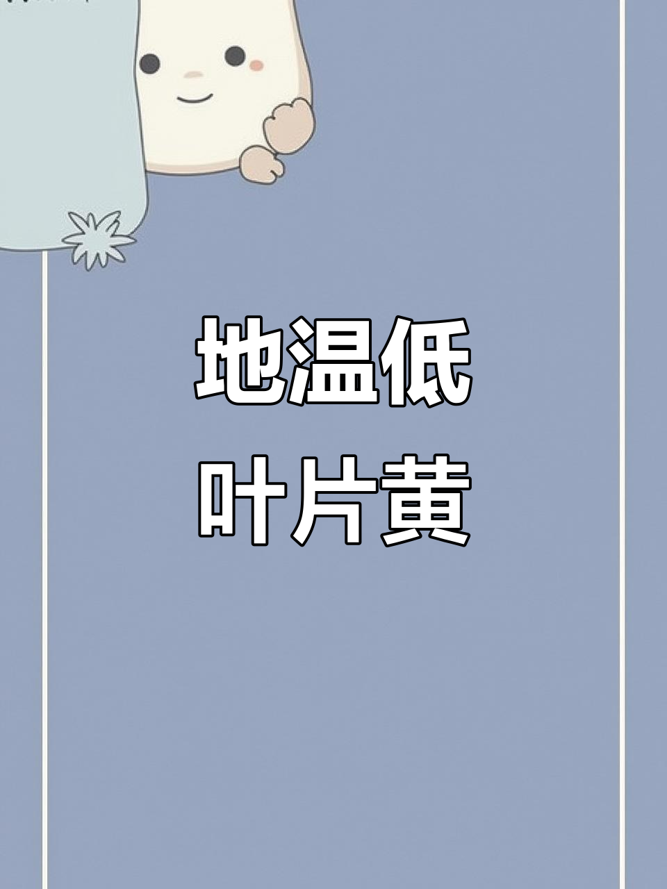 低温寡照导致鸡爪叶发黄?如何应对地温不足问题