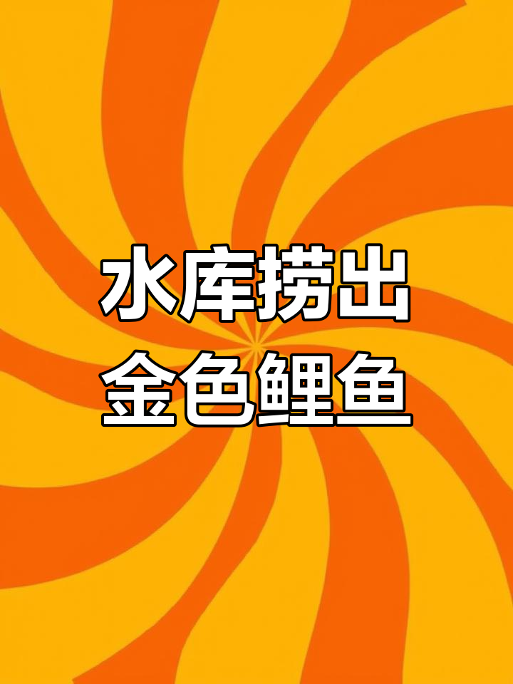 刚从水库捞出的野生大鲤鱼,金黄色皮肤让人惊艳