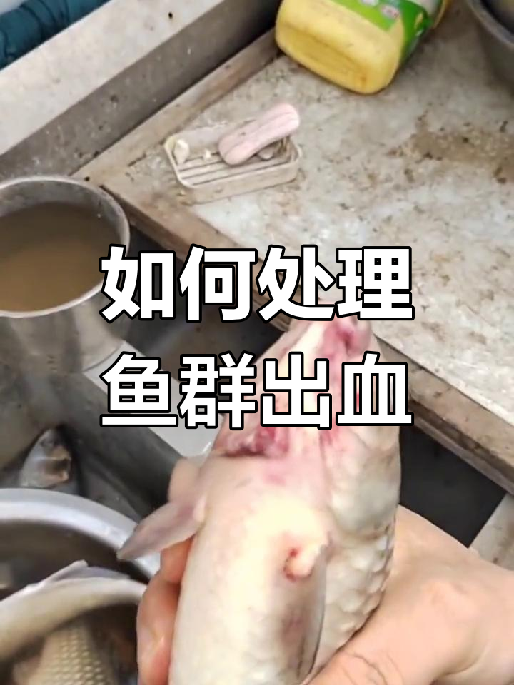 鱼类出血病的原因与应对措施