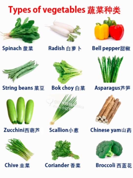 每日实用英语|蔬菜种类英文单词