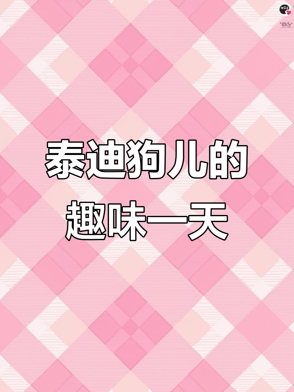 泰迪狗的奇葩日常,含包汉堡、扒脚跟玩得不亦乐乎