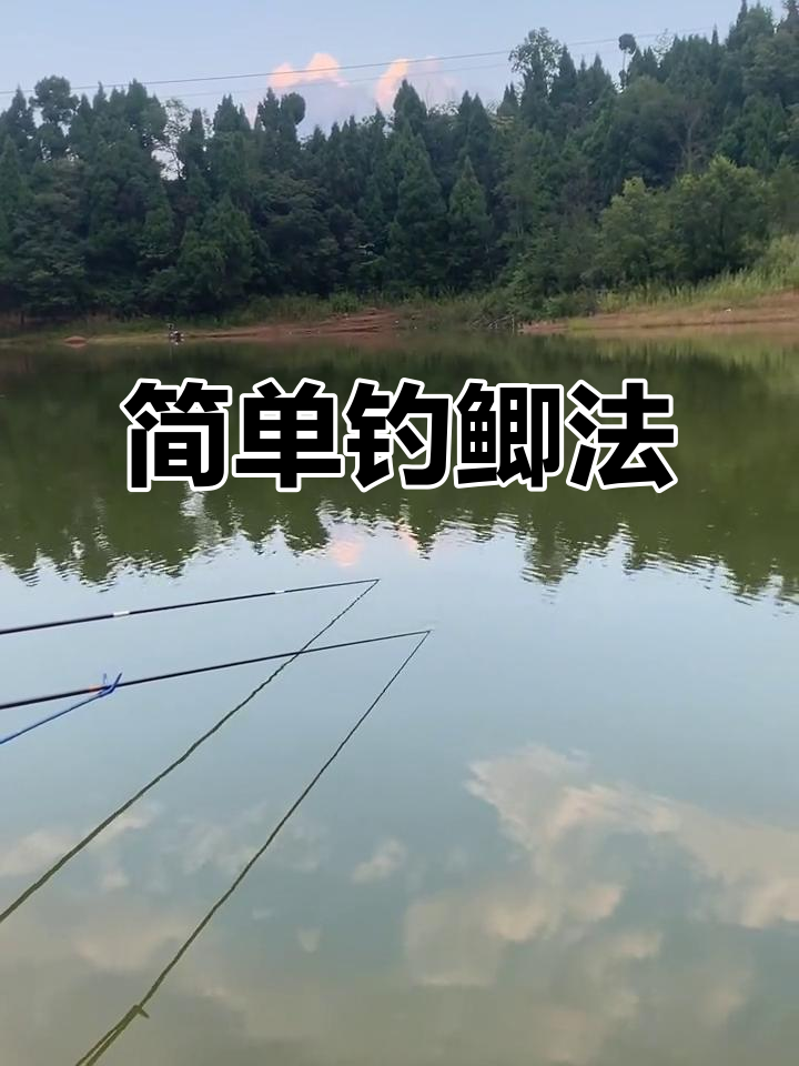 钓鲫鱼技巧大揭秘:数到九,提杆就能上鱼
