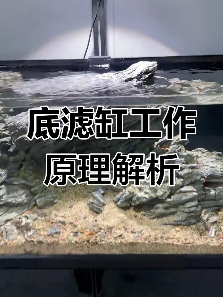 底滤缸过滤原理大揭秘,如何打造高效静音系统