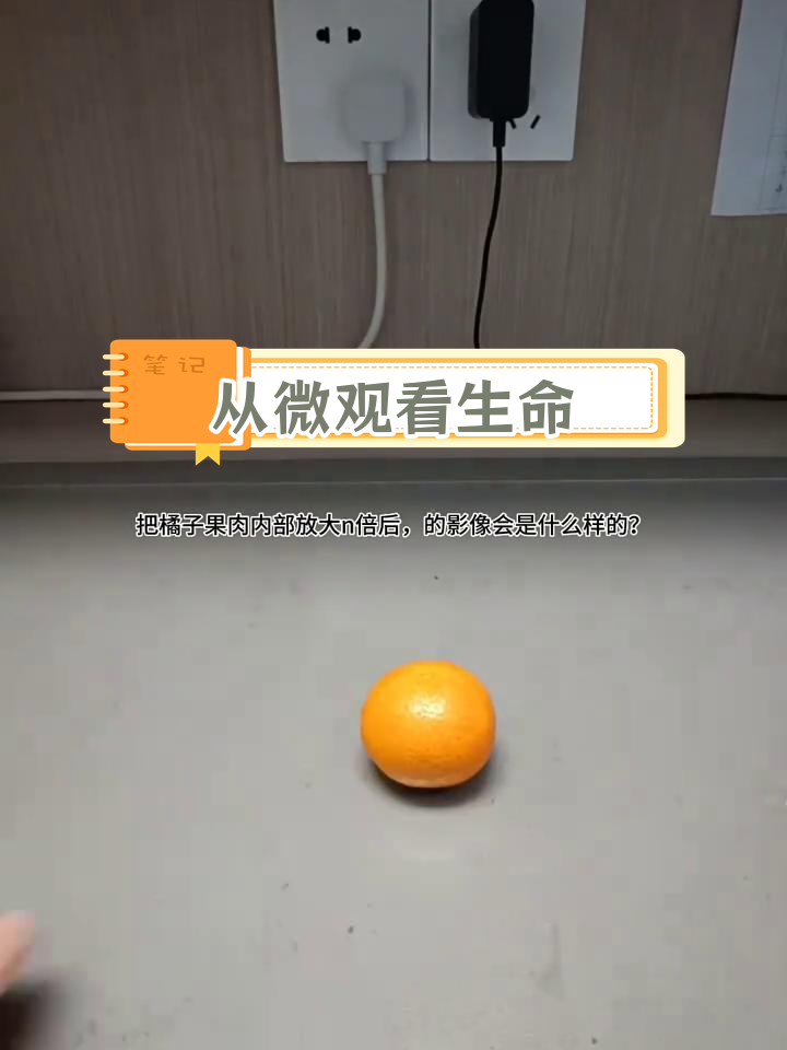 显微镜下的微生物世界,探索细胞奥秘