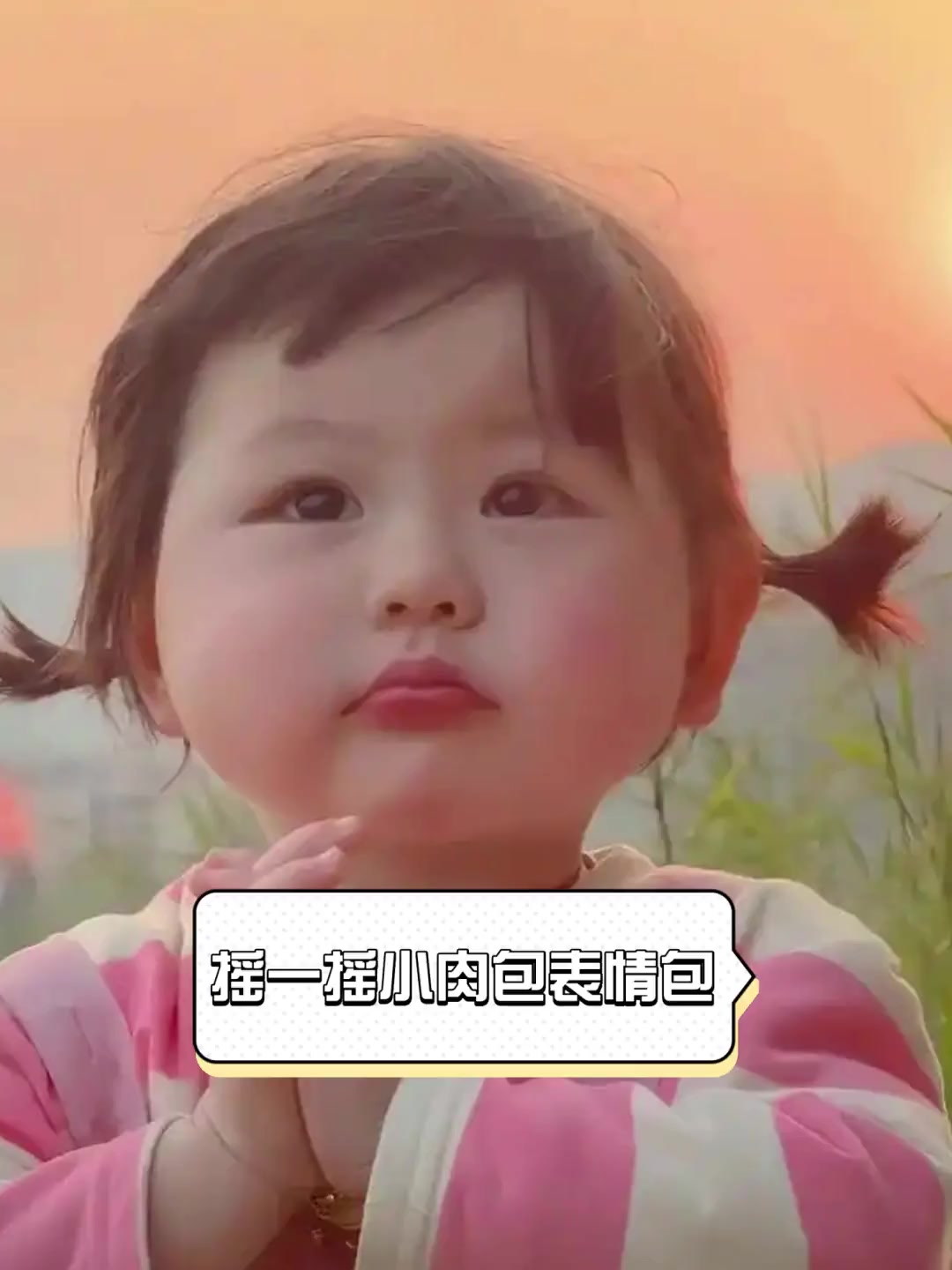 摇一摇小肉包表情包