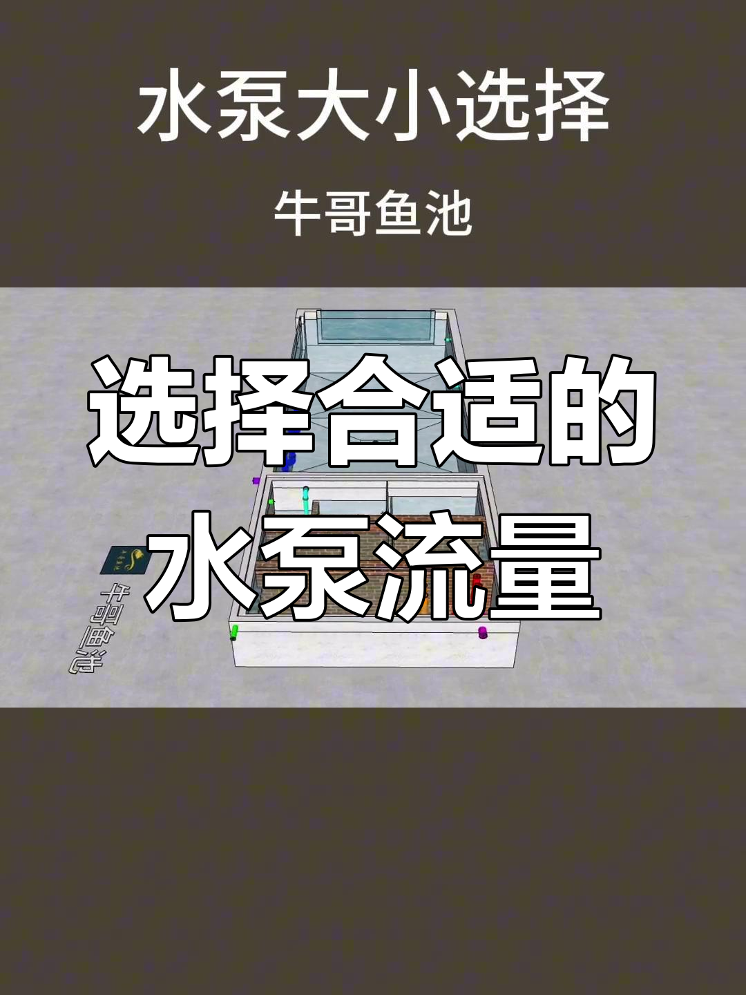 鱼池水泵流量如何选择?掌握这些技巧让水质更稳定