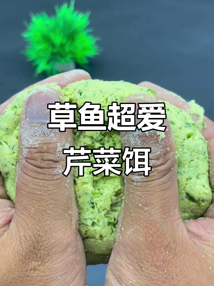 草鱼最爱吃的芹菜饵料，高温天气必备钓法