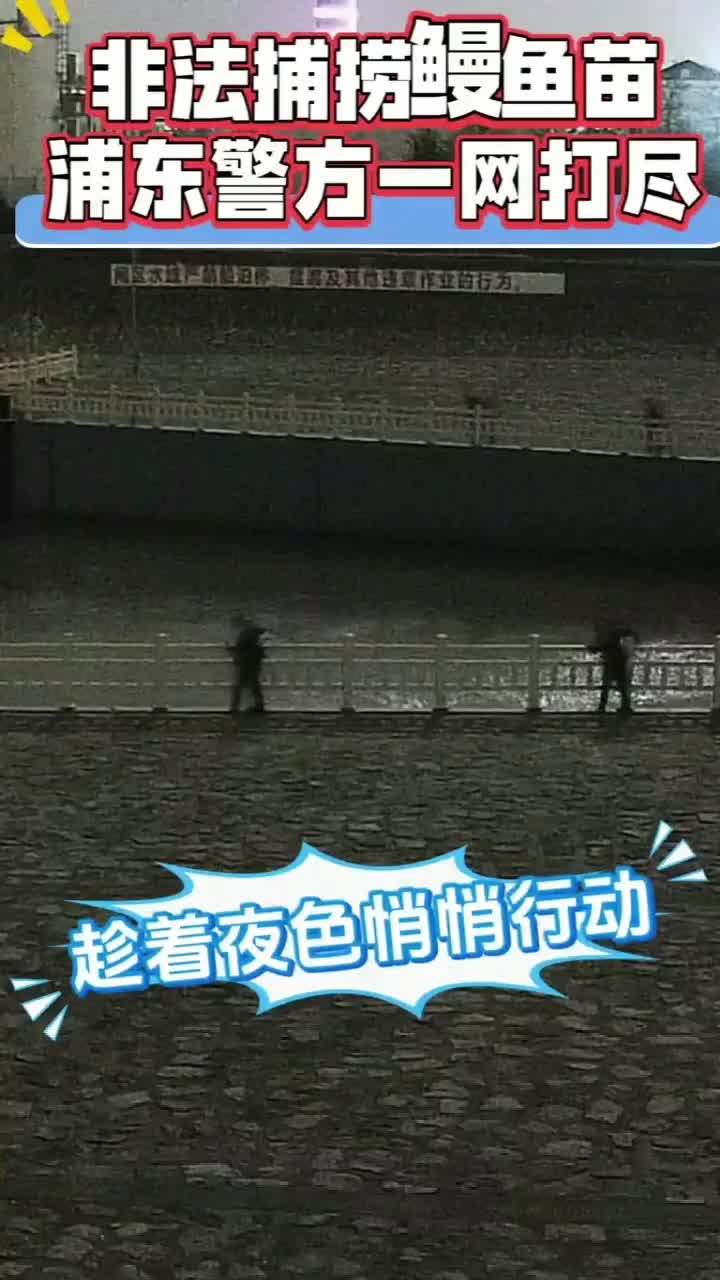 临时组队非法捕捞鳗鱼苗,无人机助力警方精准出击
