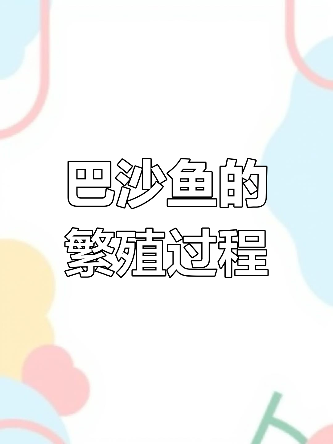 巴沙鱼养殖揭秘:从催产到取卵全过程
