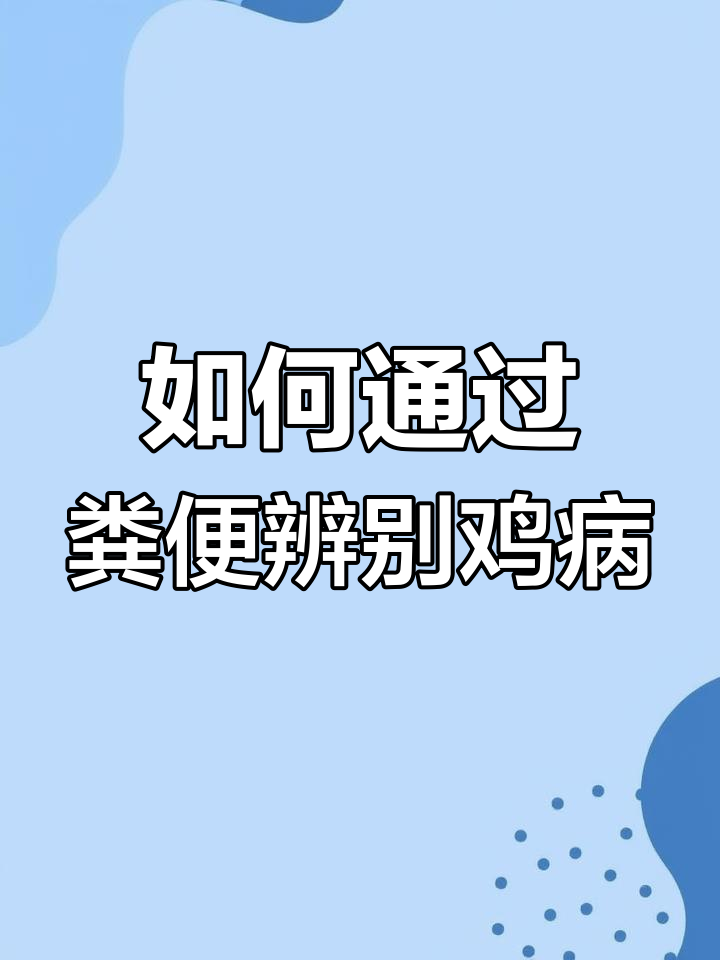鸡粪颜色能揭示健康与否,如何判断疾病?