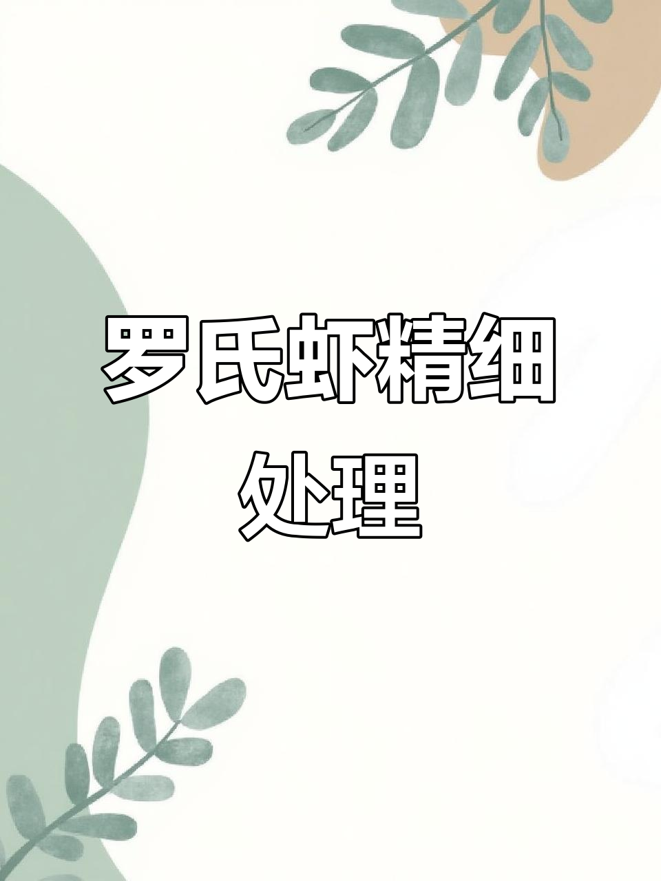 完美处理罗氏虾,保留鲜美虾黄,每个细节都精心呵护