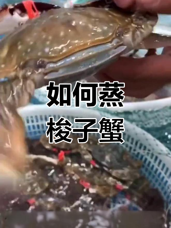 蒸梭子蟹的最佳时间与技巧