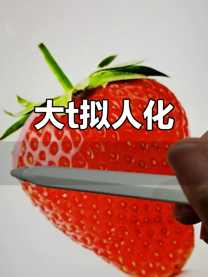 大t拟人化