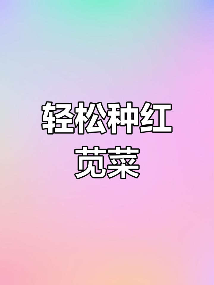 红苋菜发芽记,简单种植方法分享