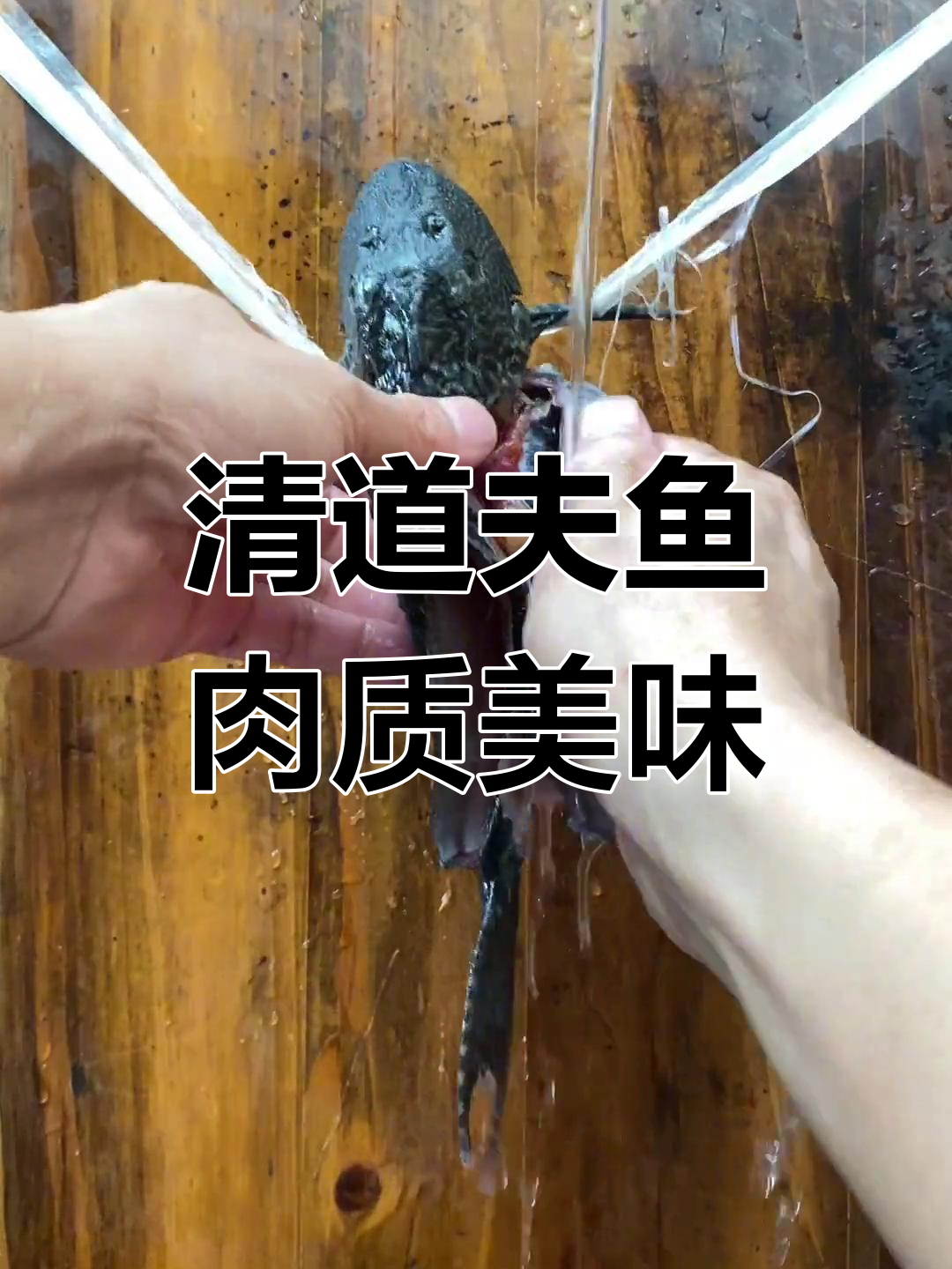 抓清道夫鱼尝鲜,蛋白质丰富堪比十个鸡蛋