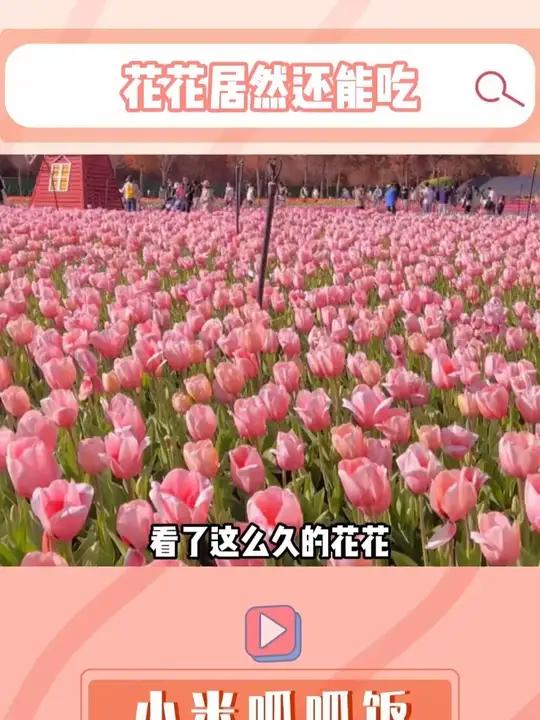 花花不仅好看，竟然还能吃！#春天的花花不仅好看还好吃呀 #可食用鲜花 #为乡村特产代言