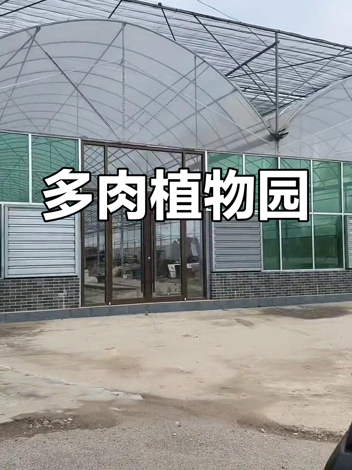100亩多肉植物园,大棚种植,欢迎关注!