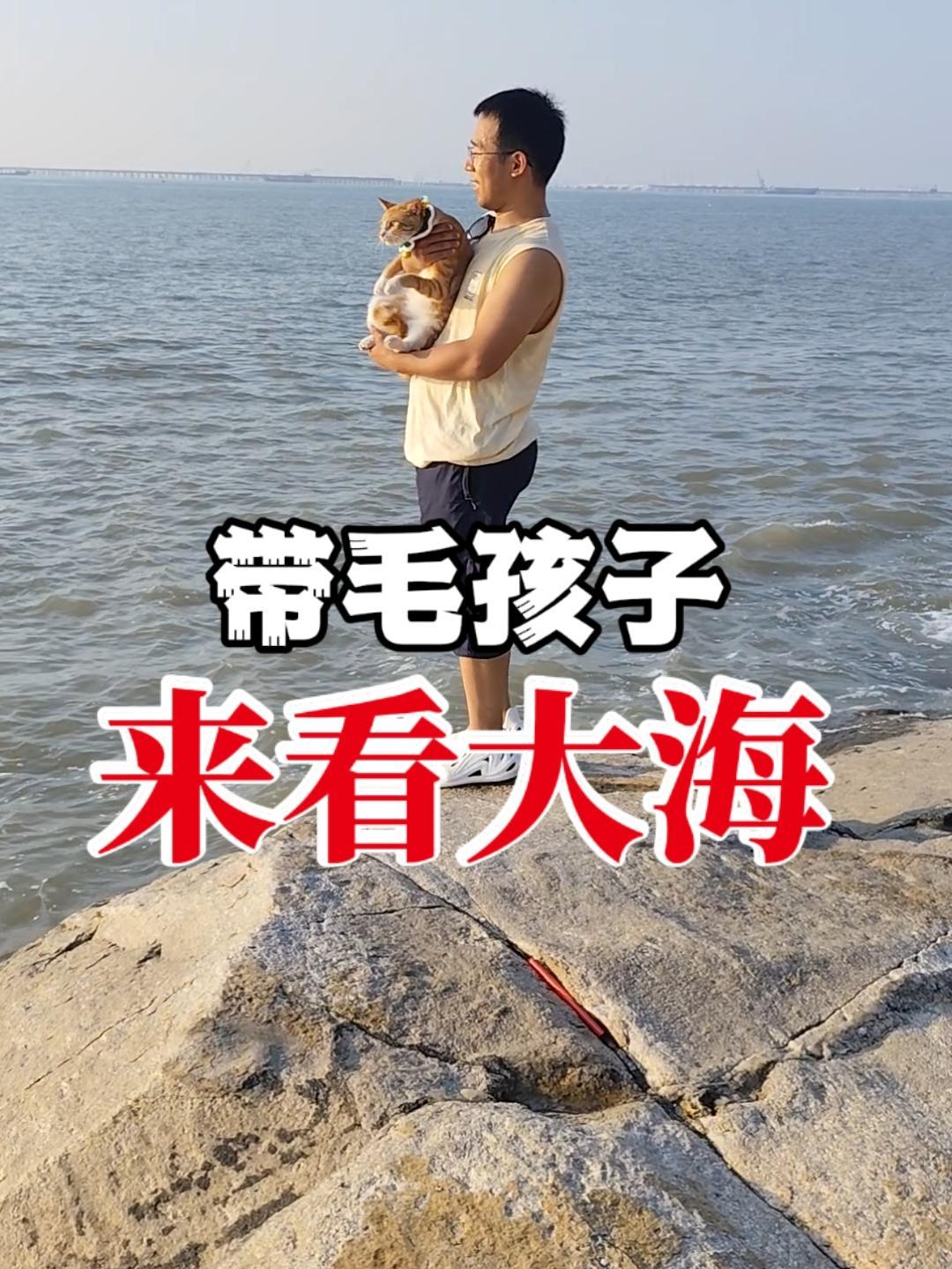 带上人类幼崽和毛孩子们一起来海边转转,大海的广阔使人瞬间释然。毛孩子也是孩子 毛孩子的日常