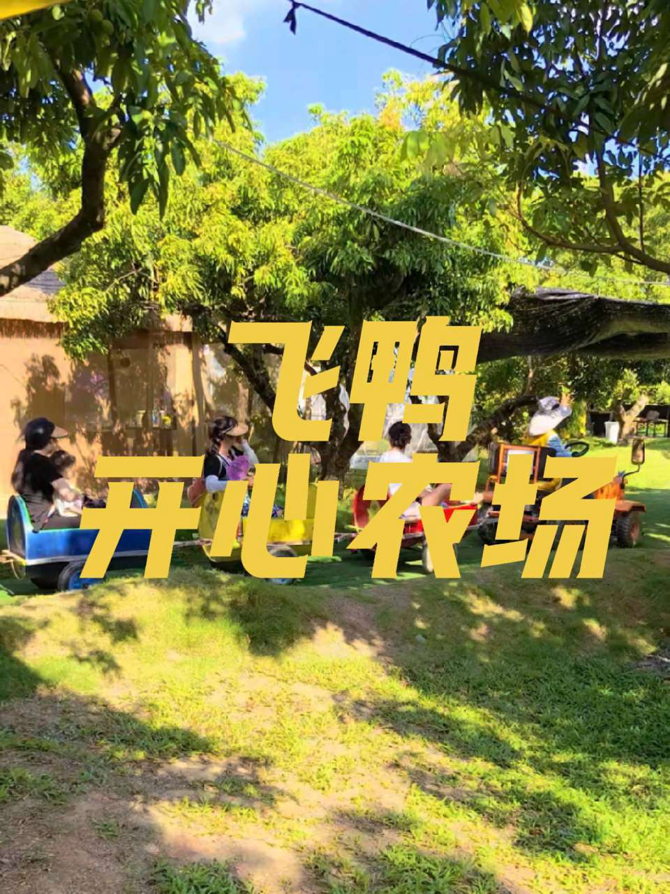 南山西丽荔枝园里找到一家很好玩的飞鸭开心农场。飞鸭开心农场 周末去哪玩 亲子时光 假期去哪