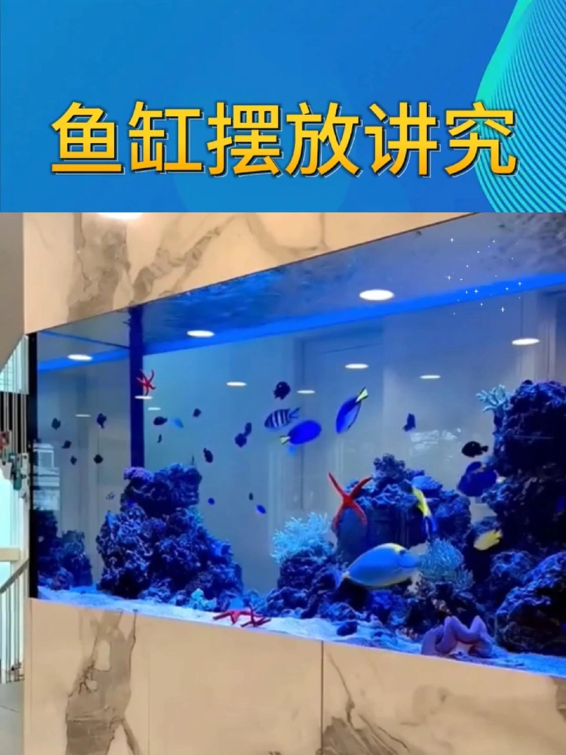 鱼缸千万别摆错位置了!