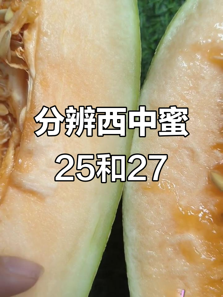西周蜜25号与27号的区别,如何挑选更甜品种