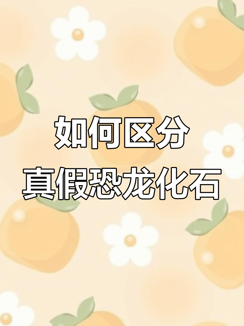 史前恐龙化石与现代鱼骨石头的辨别技巧,价值差距惊人