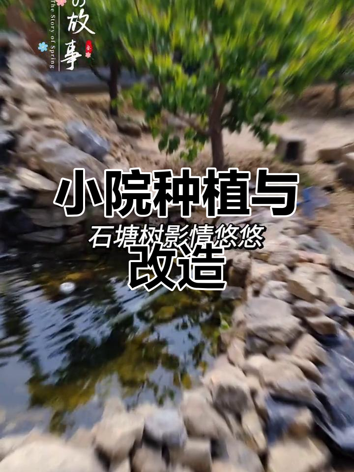 农家小院改造,打造庭院菜园的美丽实景